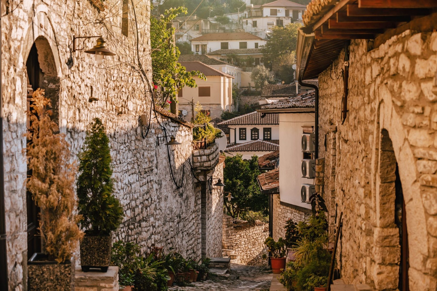 8 Days Journey through Nature and Culture — 3