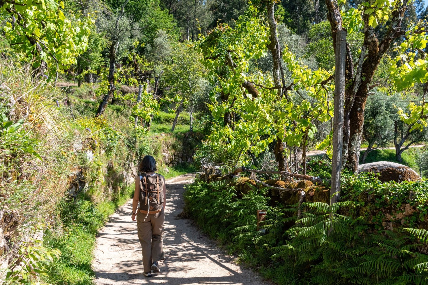8 Days Adventure Portugal — 4