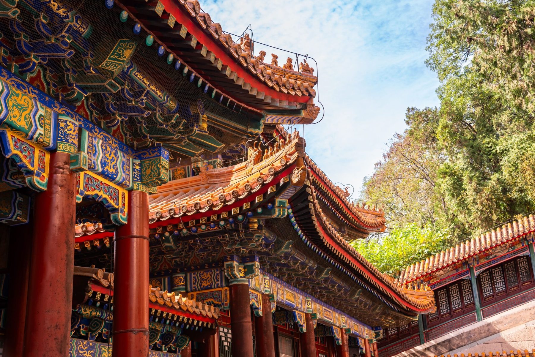 14 Days Ancient Civilisations & Living Traditions — 3