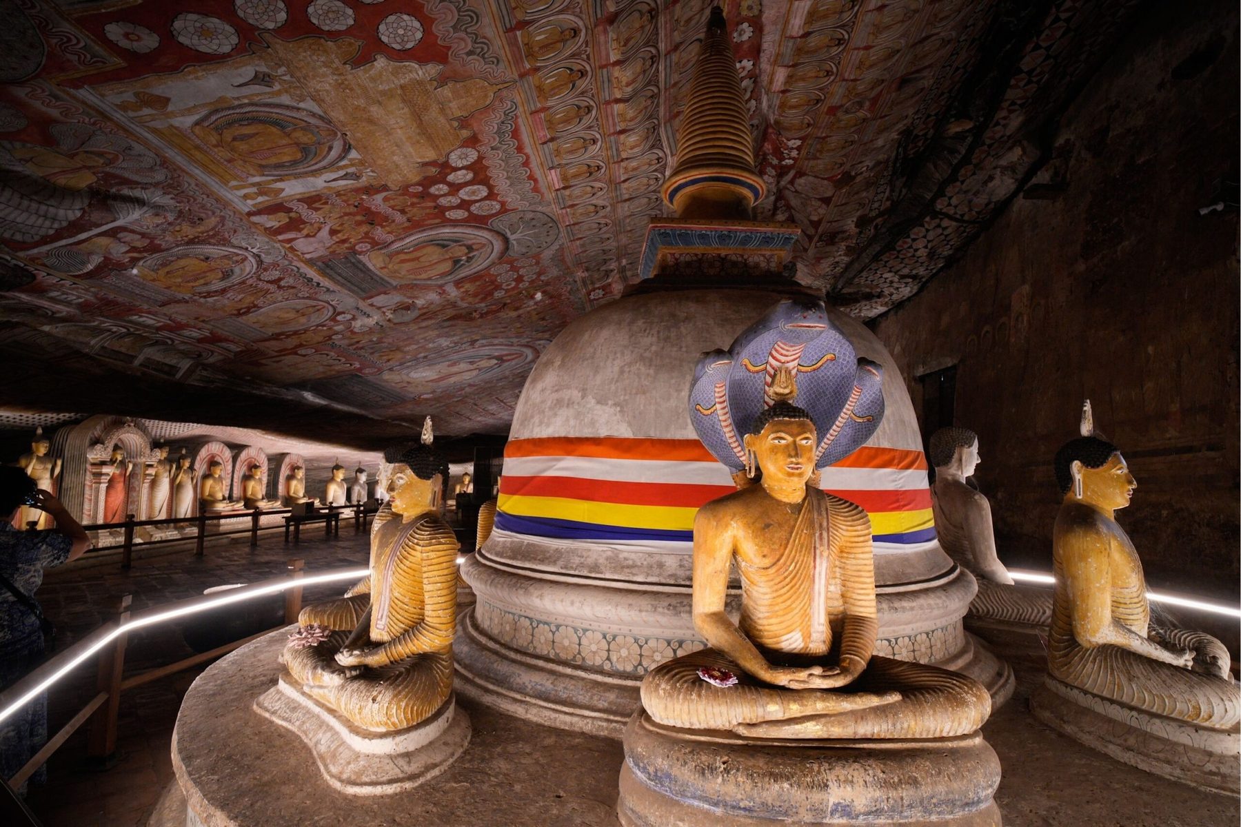 12 Days Wild Sri Lanka — 7