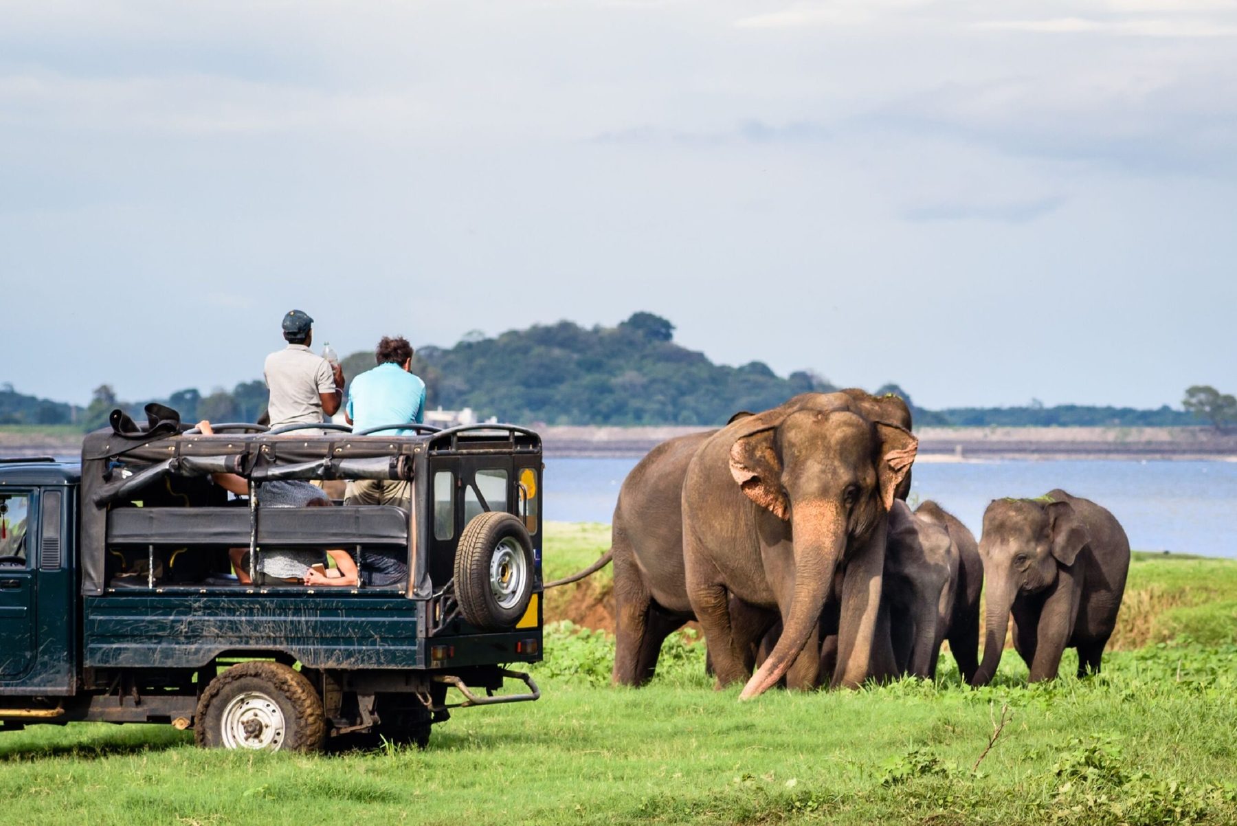 12 Days Wild Sri Lanka — 2