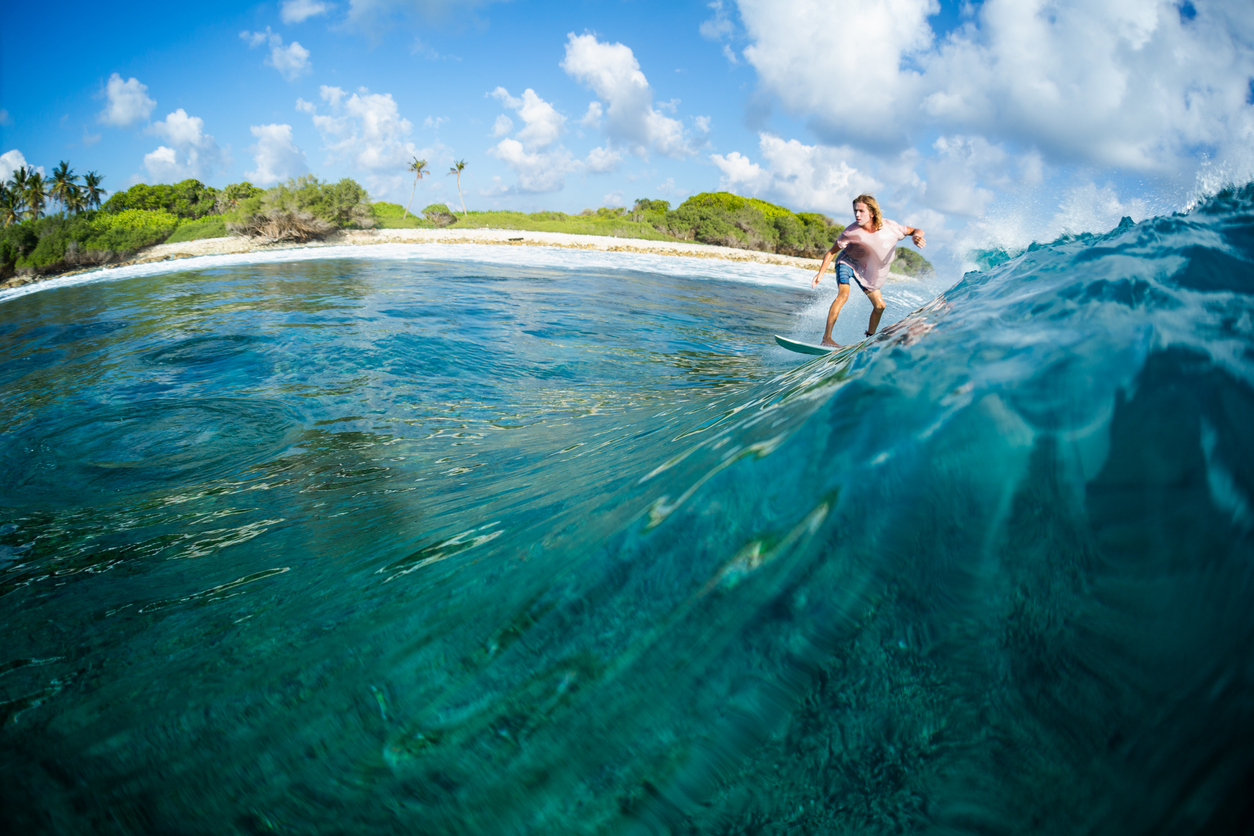 8 Days Surf the Maldives with Ben Gravy — accommodation 2