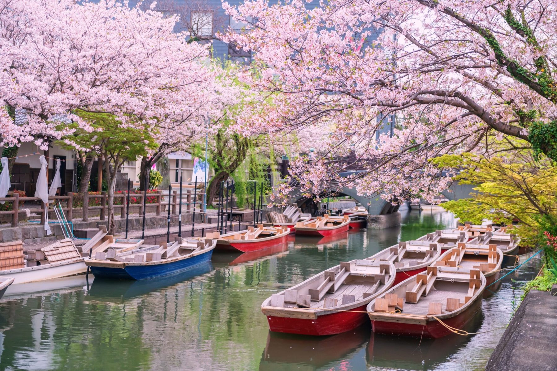 11 Days Spirit of Kyushu — 2
