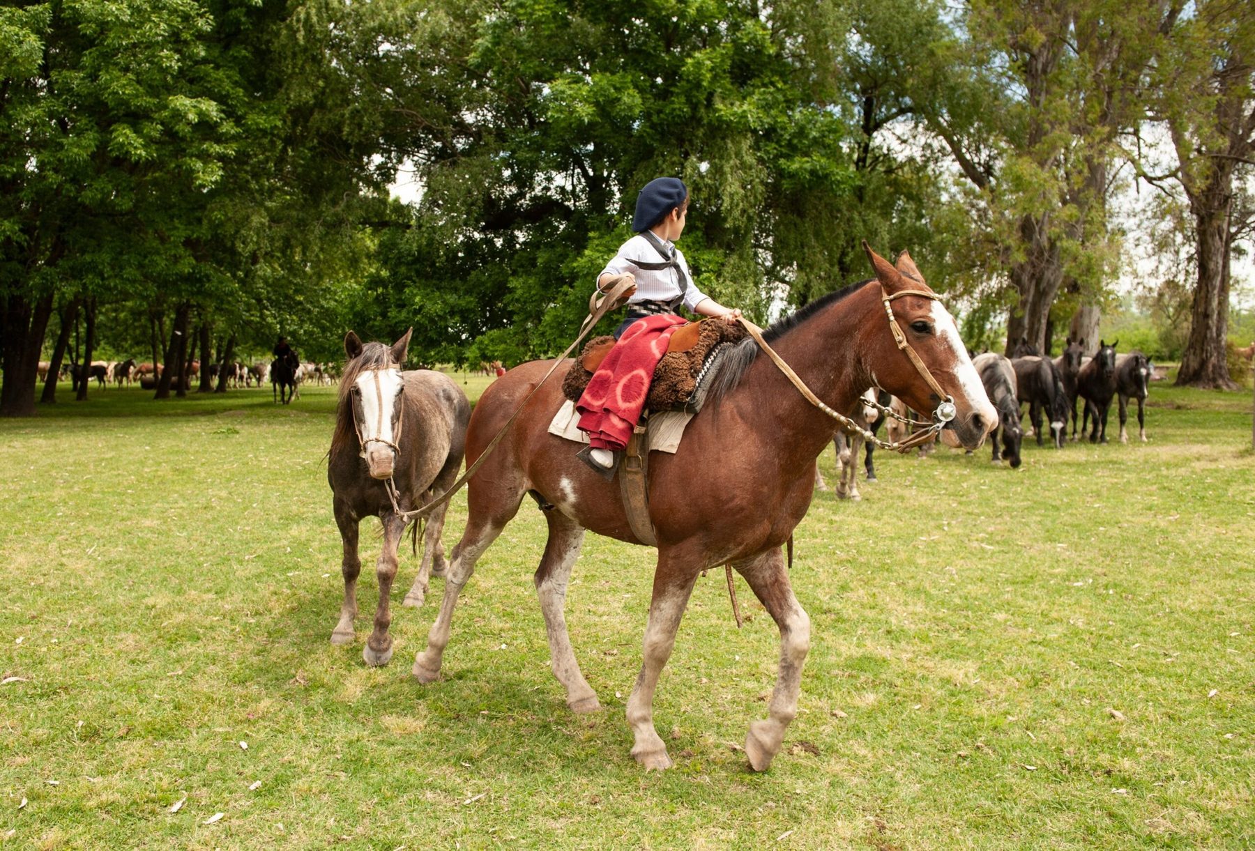 9 Days Learn Spanish in Buenos Aires — 4
