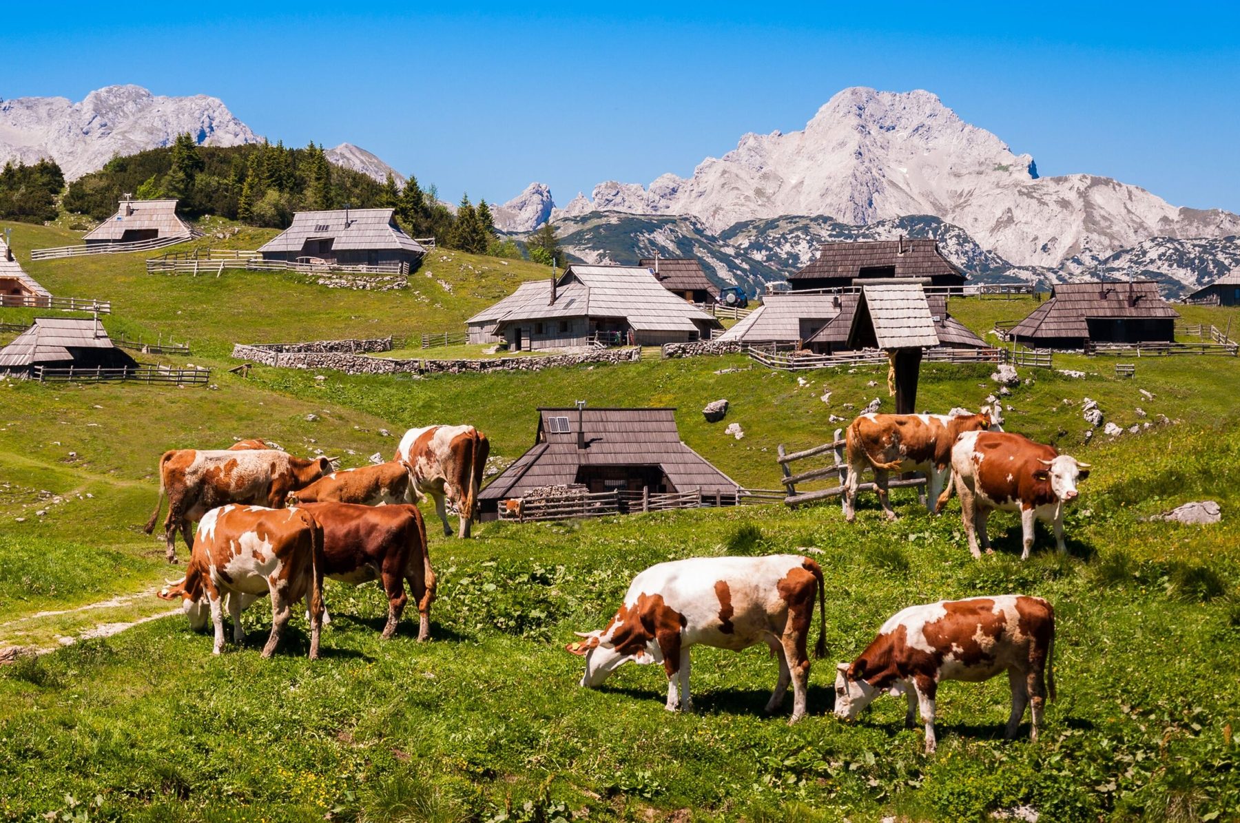 7 Days Slovenia Journey — 10