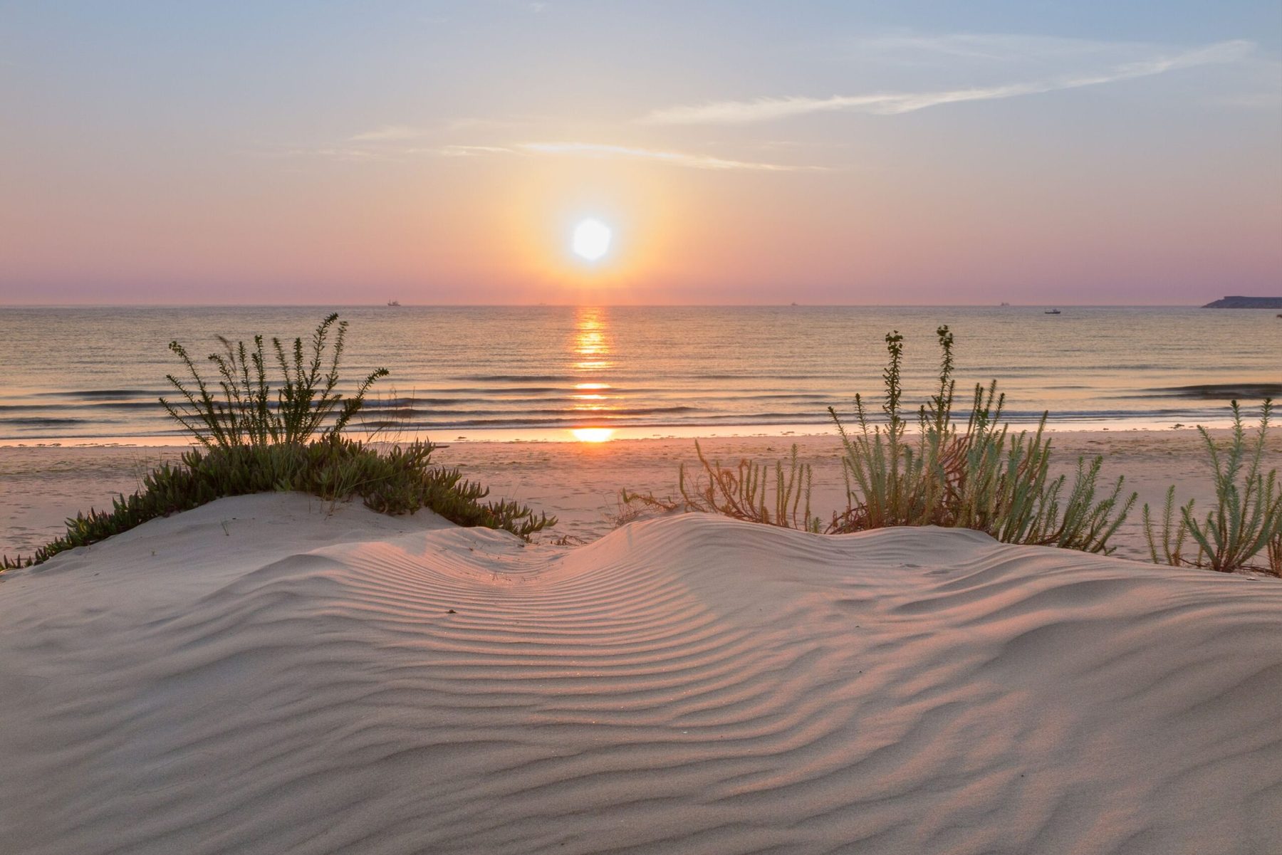 8 Days Learn to Surf in Laredo — 2