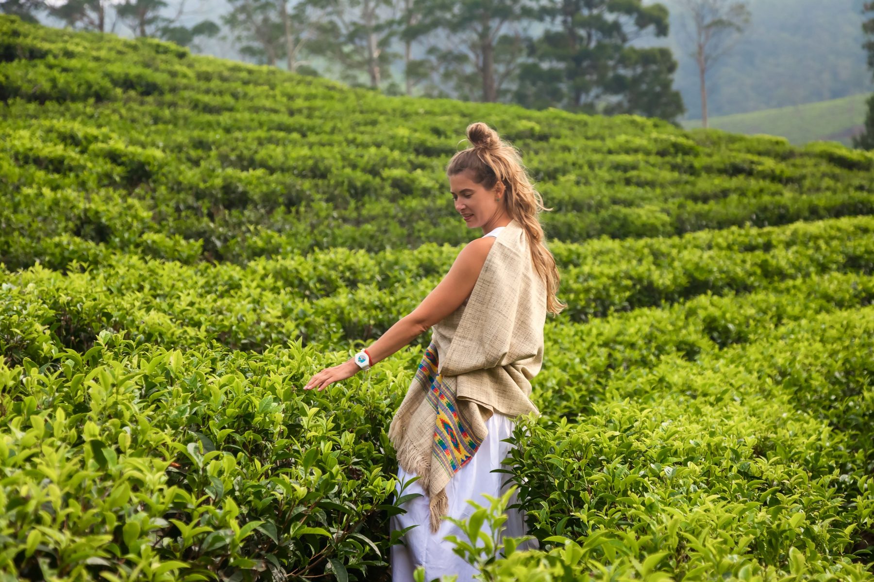 12 Days Wild Sri Lanka — 12