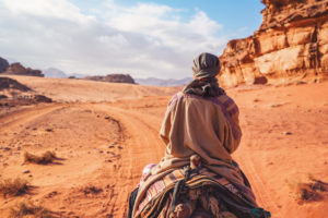 Camel rides in the desert