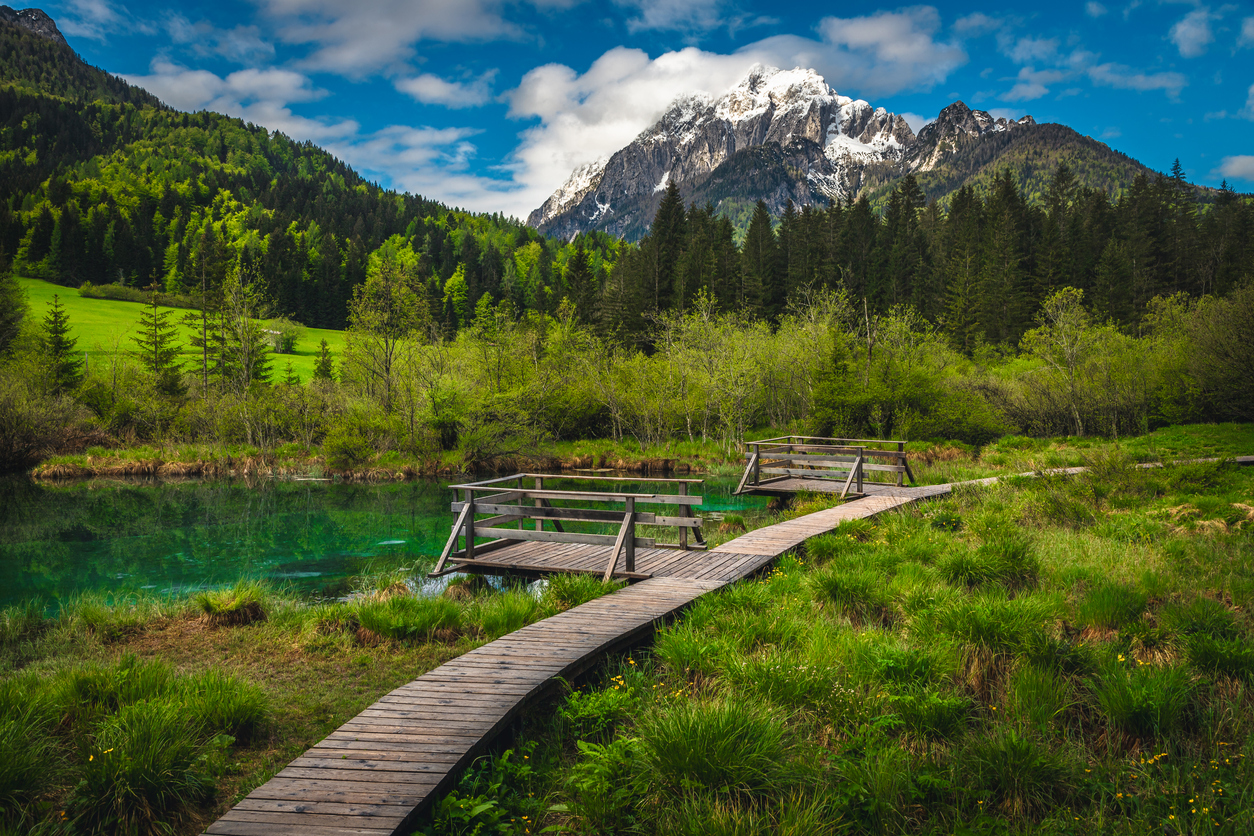 Lake Zelenci