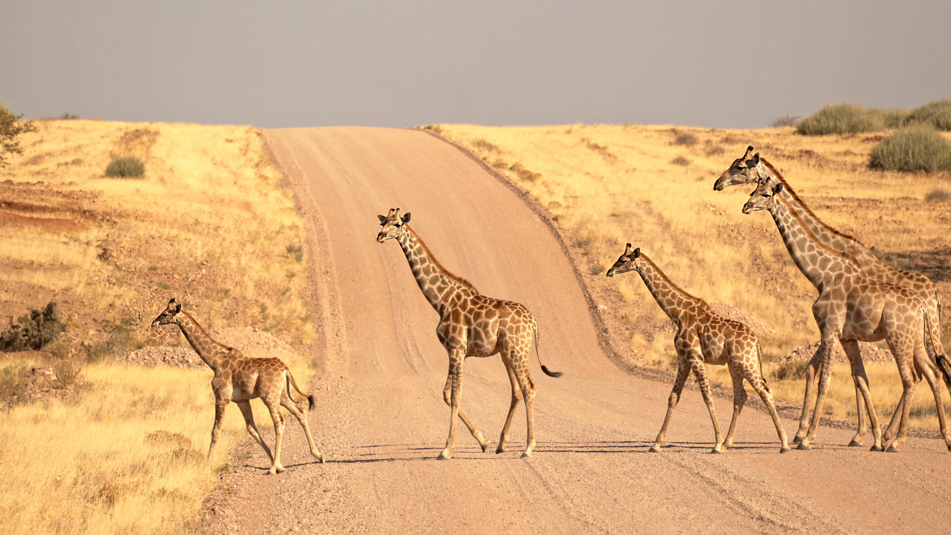 Escape to Namibia