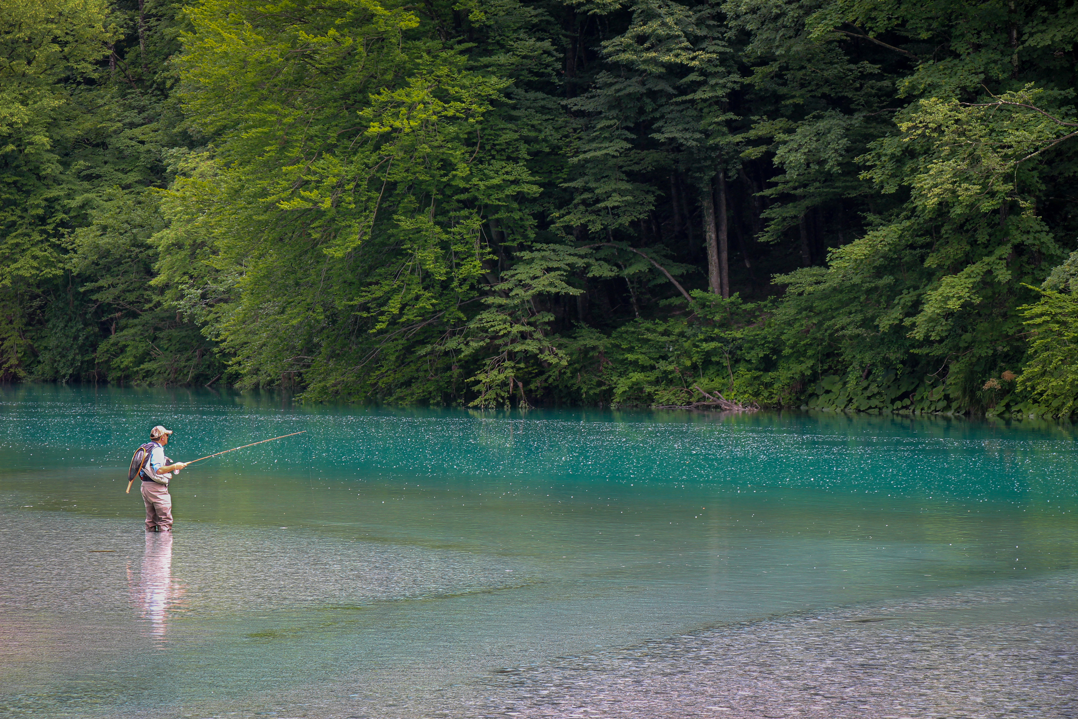 Fishing for Marble Trout on the Soca River