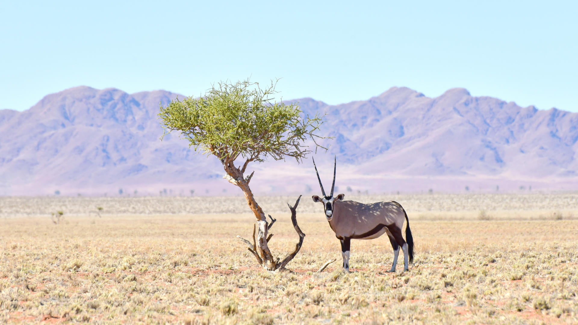 Namibia Nature Reserve