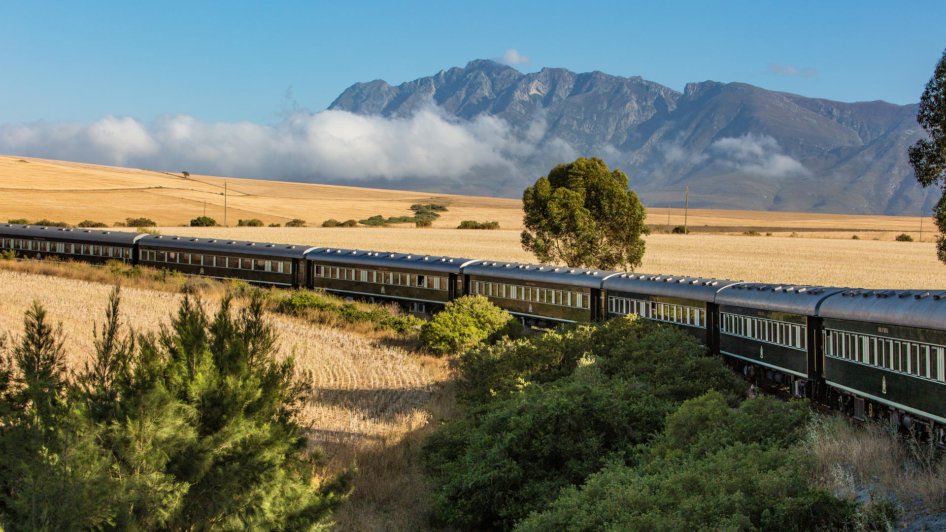 Safari by Rail through Namibia