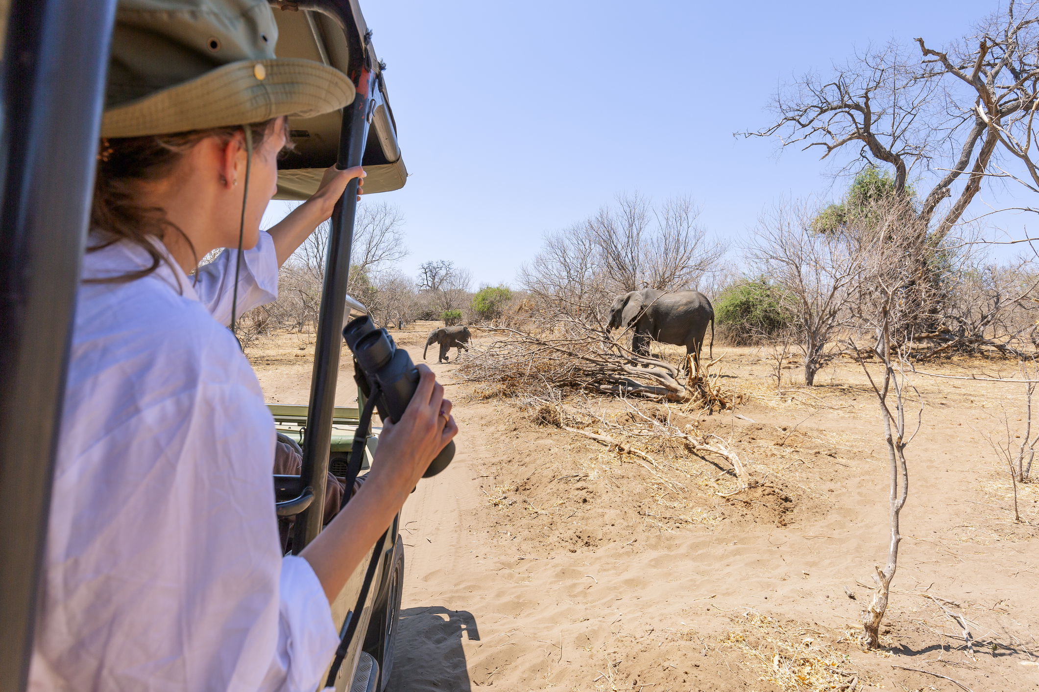 Safari in Namibia