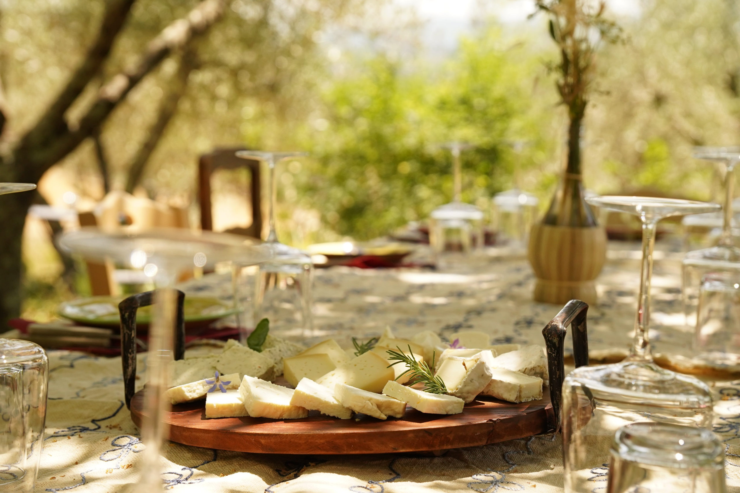 Sheeps' milk cheese board and organic wine tasting in Chianti region