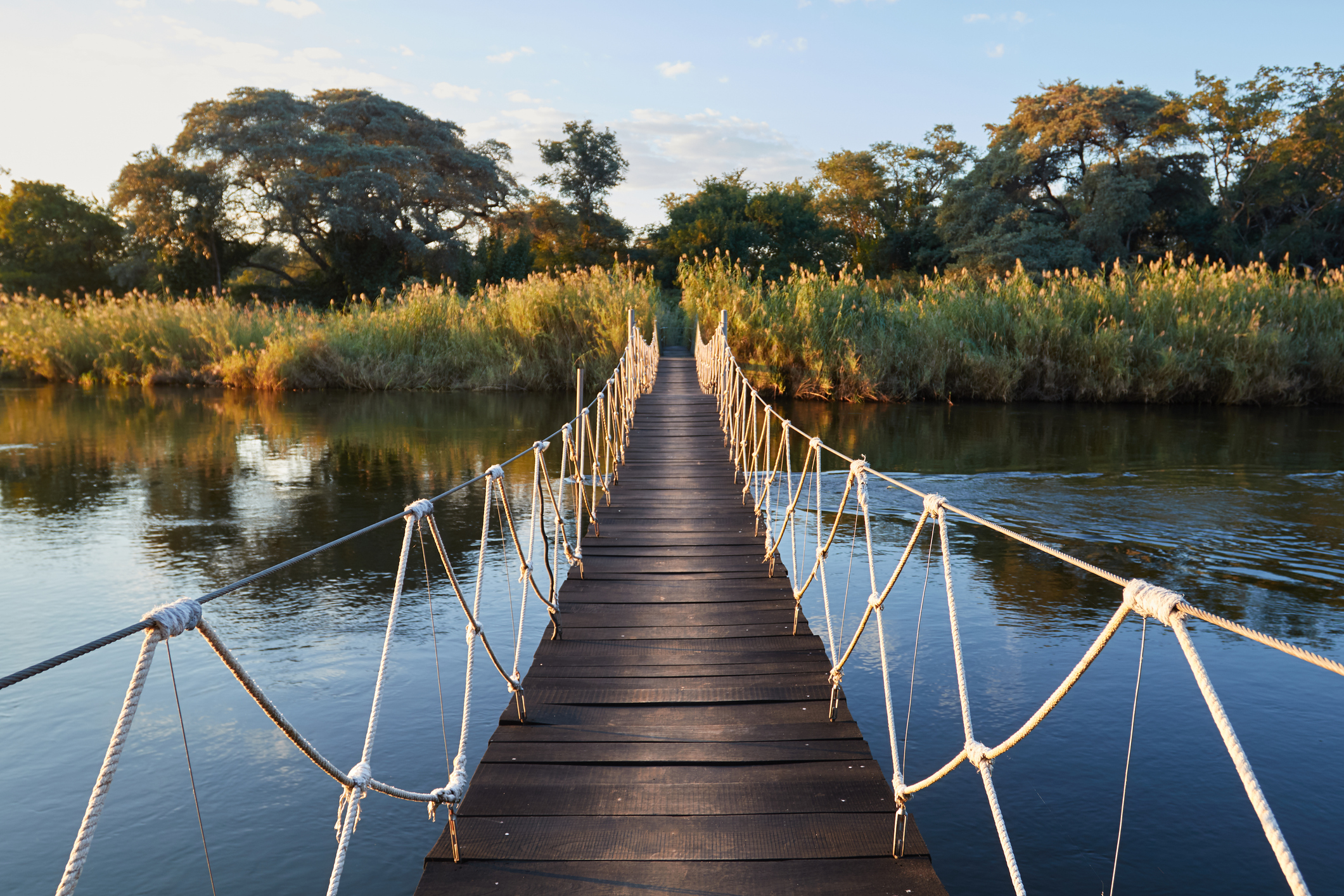 The Okavango River