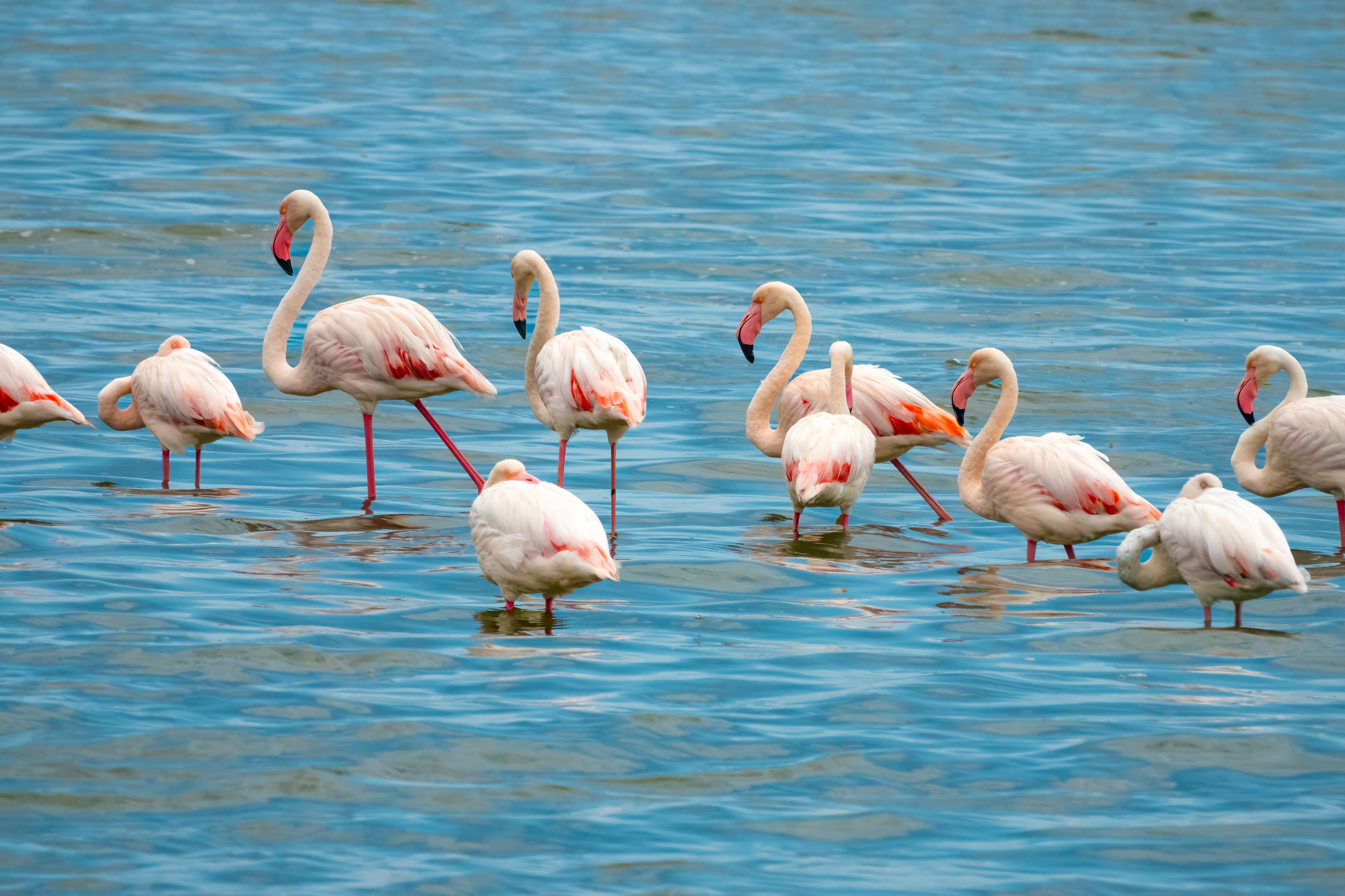 Walvis Bay