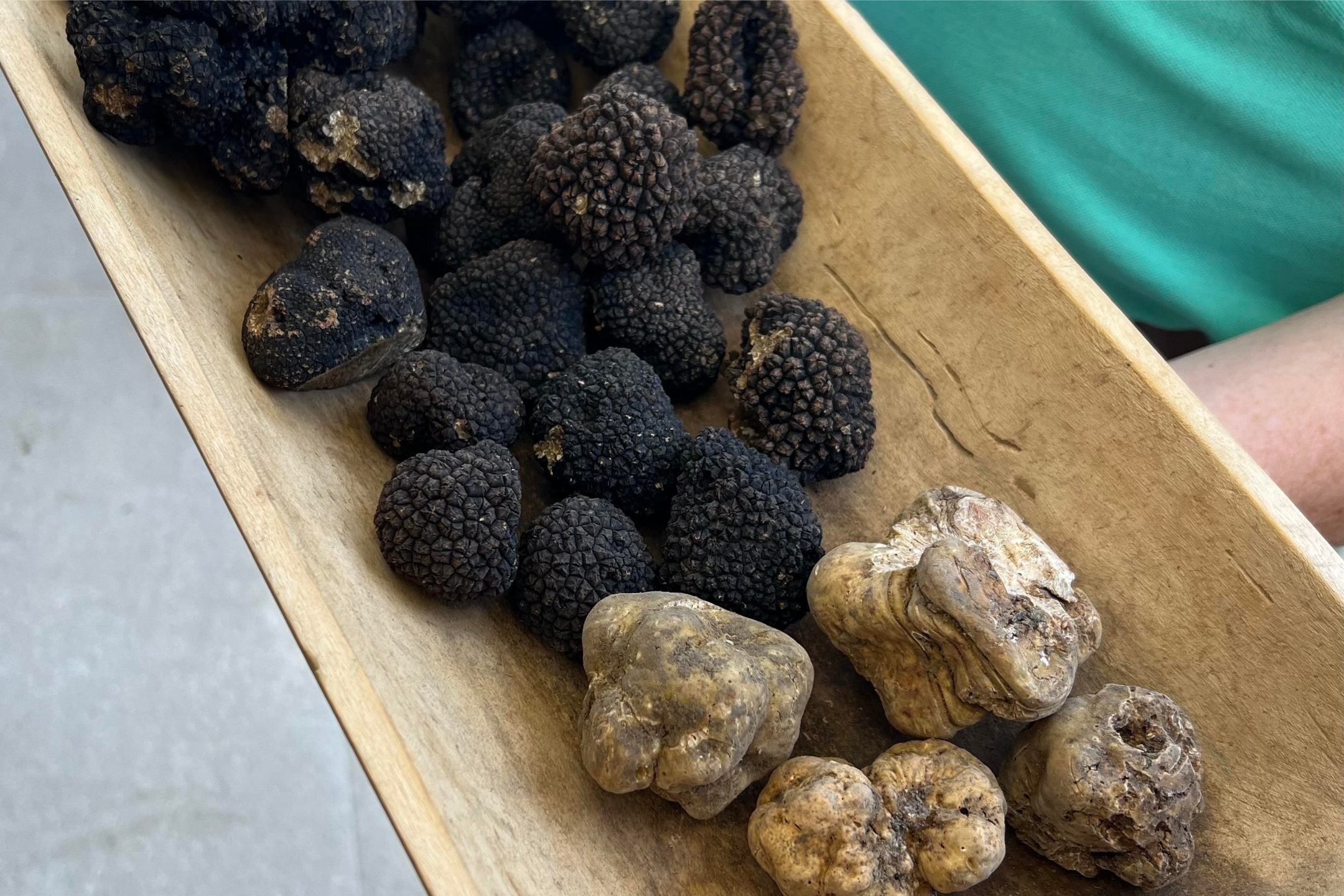 Croatian Truffles