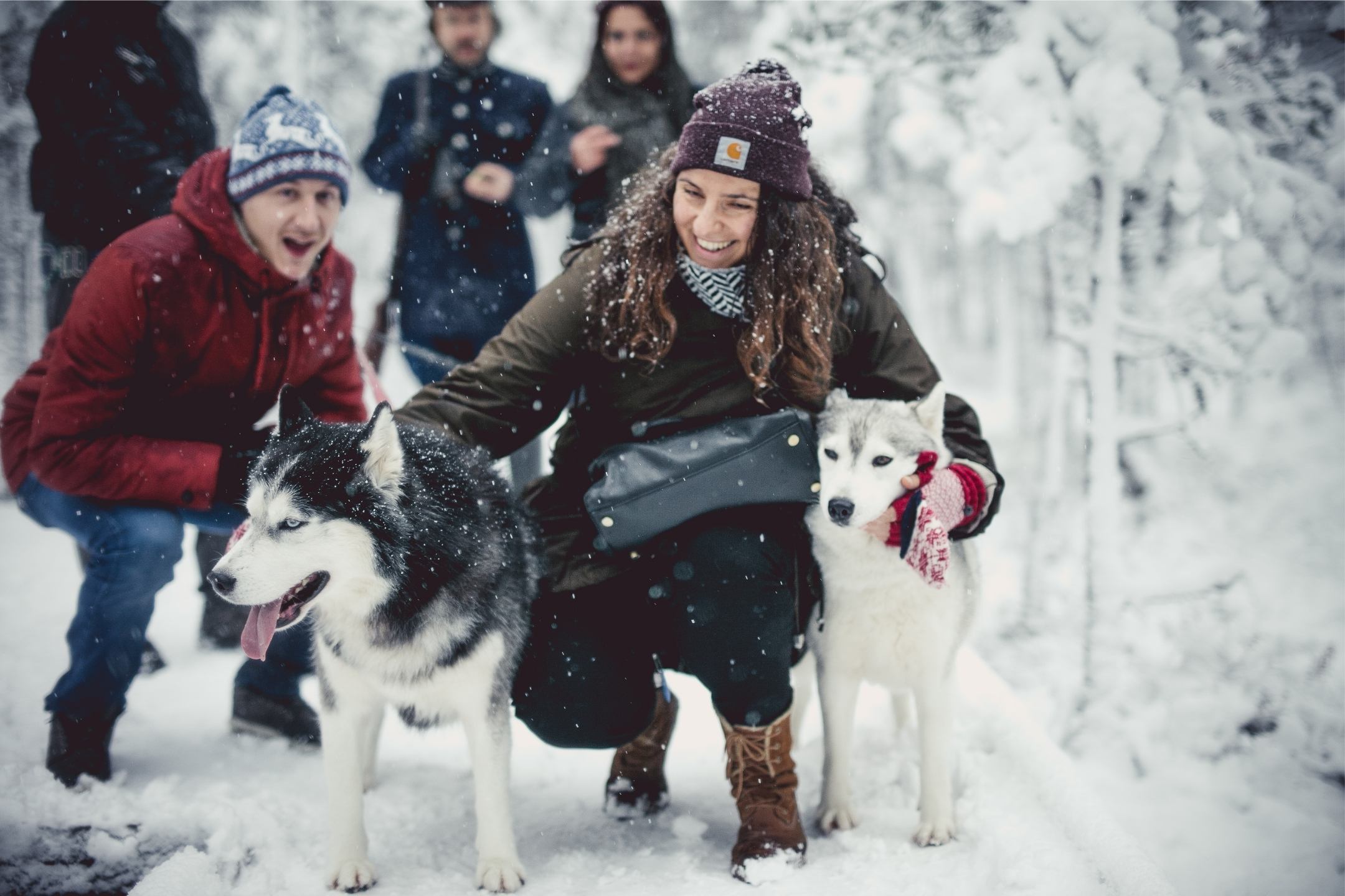 Huskies and people in the bog - Mariann Liimal