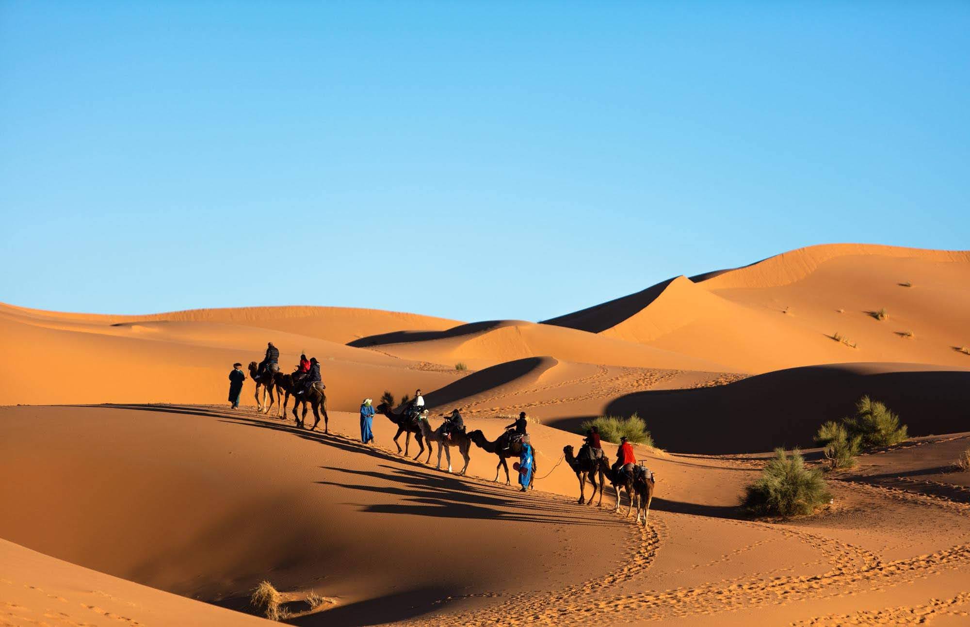 Camel Trek on the way to luxury tents