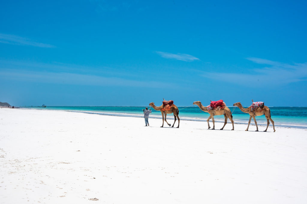 All Quiet on Diani Beach