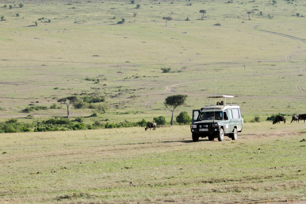 Safari at Masai Mara National Park