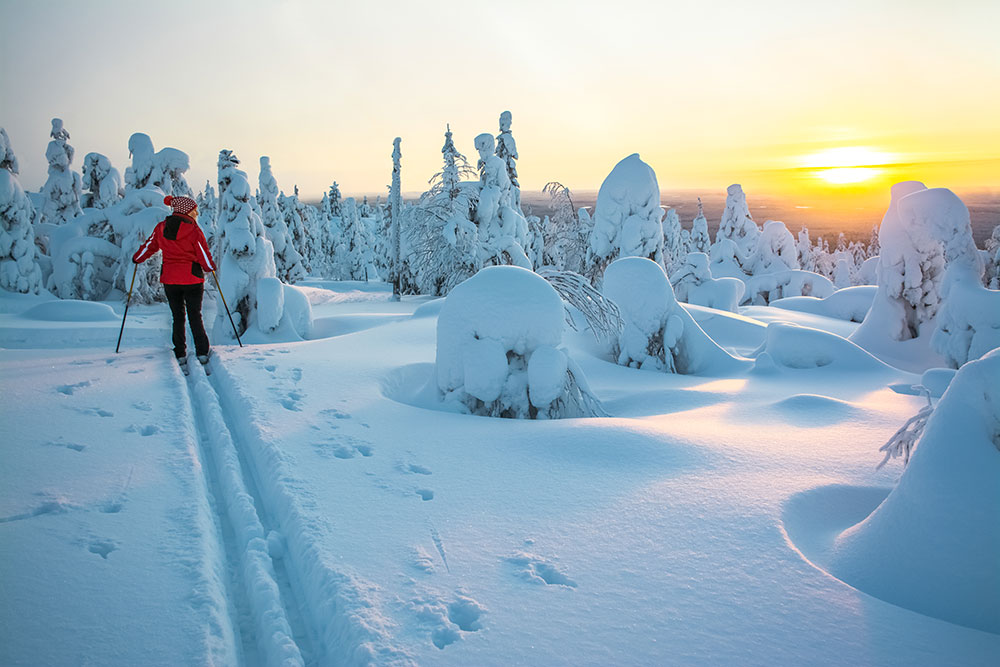 Cross country skiing in Lapland