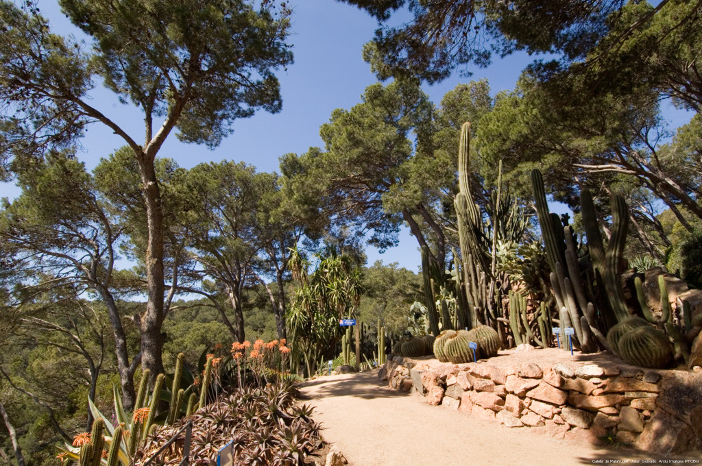 Calella-de-Palafrugell