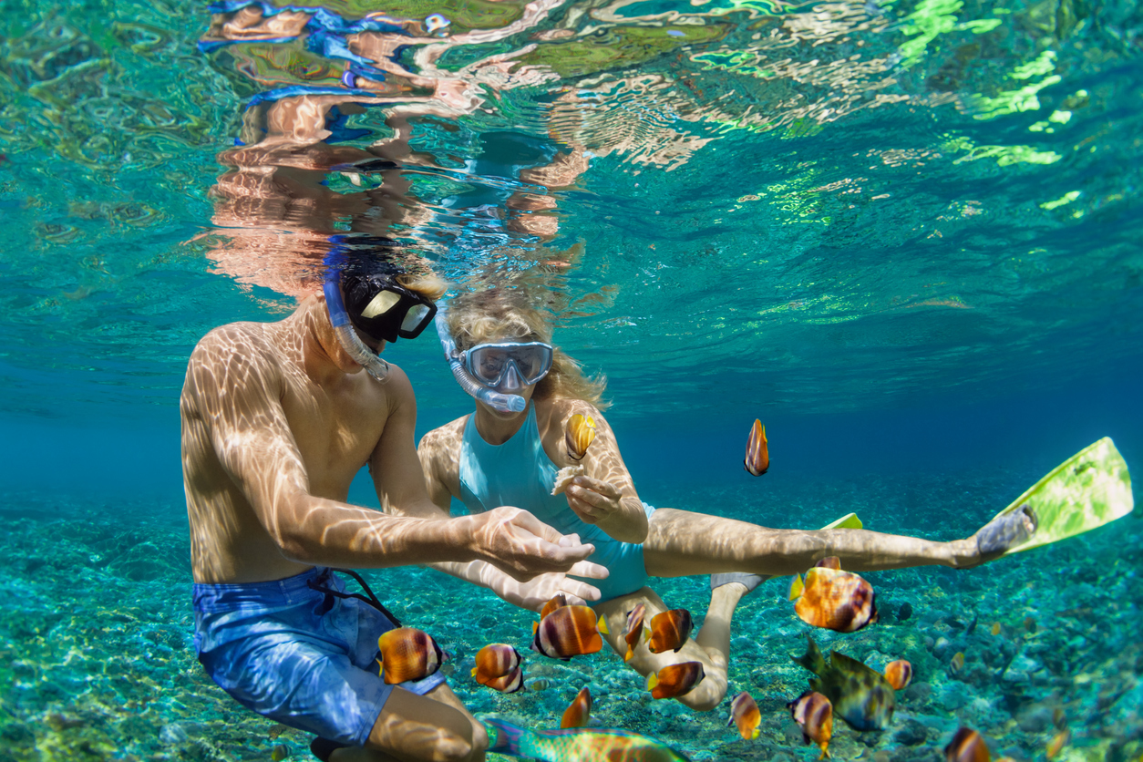 Snorkelling in Maldives