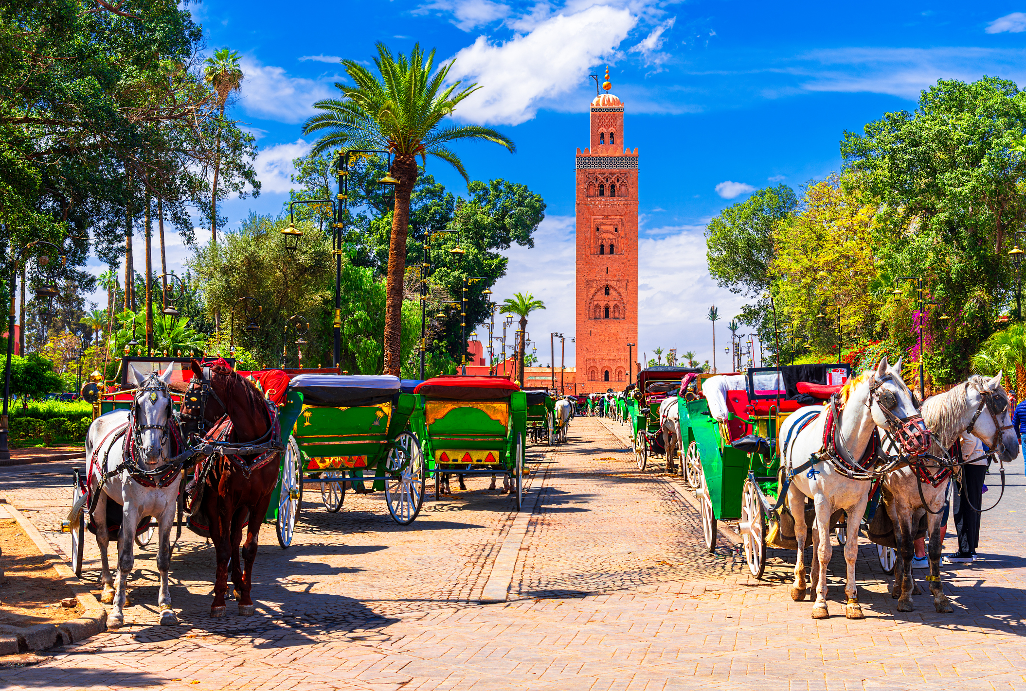 Horse carriage in front of the Koutoubia Mosque