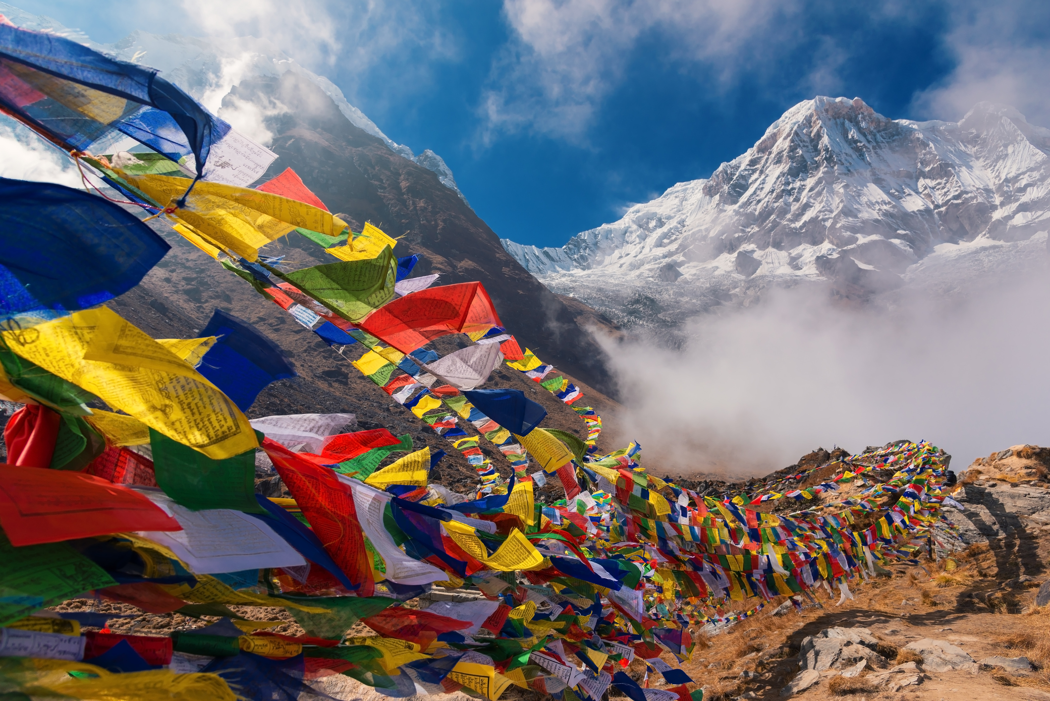 Prayer flags and Mt. Annapurna